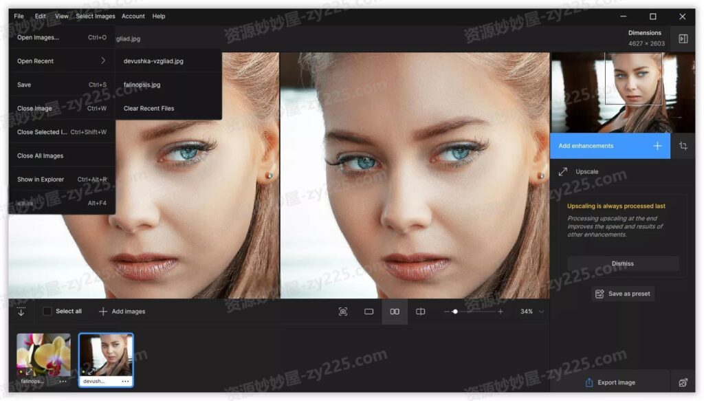 图片[2]-Topaz Photo AI破解版 1.2.0  绿色便携版 (无模型版 / 集成离线模型版)-资源妙妙屋