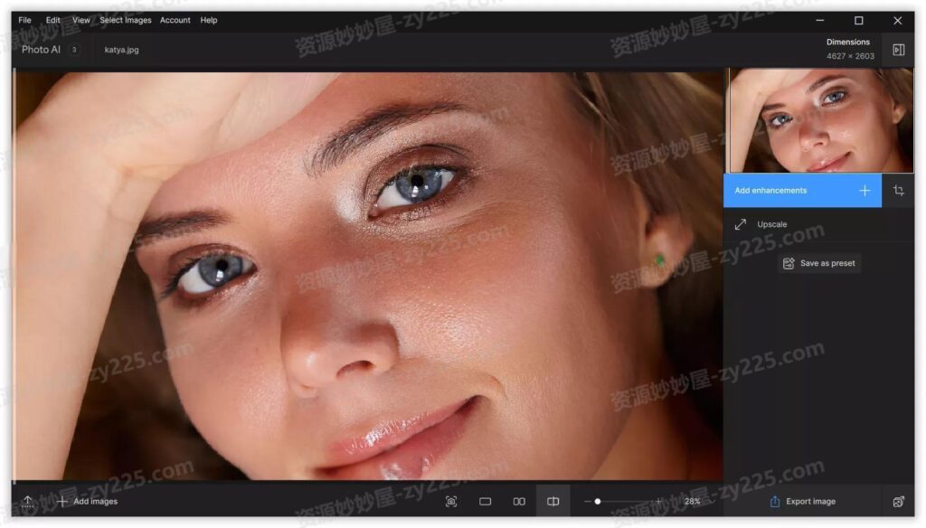 图片[4]-Topaz Photo AI破解版 1.2.0  绿色便携版 (无模型版 / 集成离线模型版)-资源妙妙屋