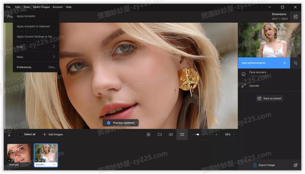 图片[5]-Topaz Photo AI破解版 1.2.0  绿色便携版 (无模型版 / 集成离线模型版)-资源妙妙屋