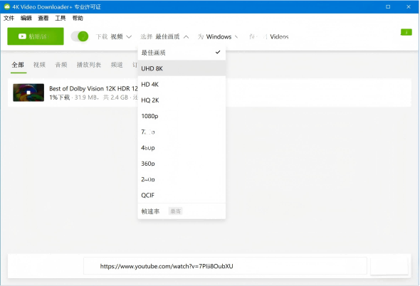 图片[4]-4K Video Downloader+中文注册版 v26.0.6.0291 x64 绿色便携版-资源妙妙屋