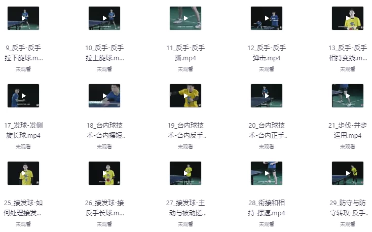 （全世爆）乒乓专业乒乓球教学课-资源妙妙屋