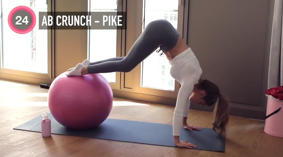 《新帕梅拉健身全集》全面塑形减脂课程大合集-资源妙妙屋