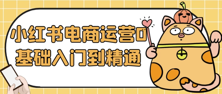 小红书电商运营0基础入门到精通-资源妙妙屋
