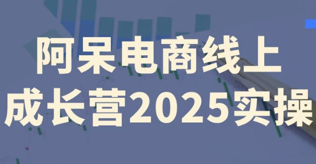 阿呆电商线上成长营2025实操-资源妙妙屋