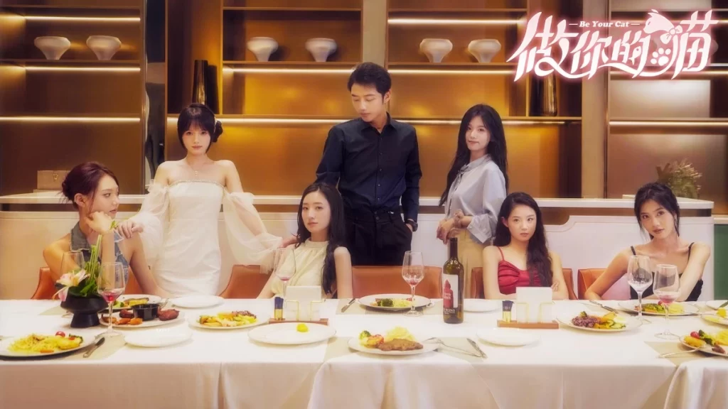 《做你的猫》Build.15705240 真人美女互动影游 中文版-资源妙妙屋