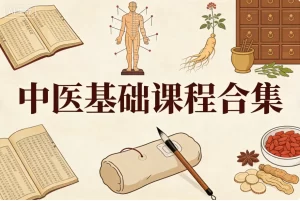 中医基础课程合集-资源妙妙屋