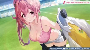 《梦幻球星明日翔》Build.21887456 中文版-资源妙妙屋