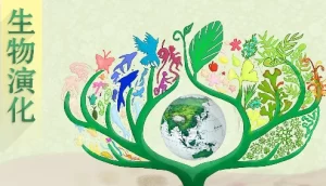 北京大学《生物演化》-资源妙妙屋