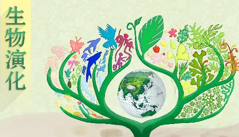北京大学《生物演化》-资源妙妙屋