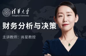 财务分析与决策培训视频教程-资源妙妙屋