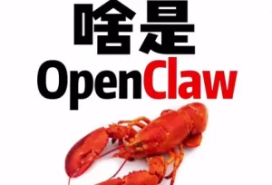 喂饭级教程：一个视频搞懂OpenClaw+完整安装课程-资源妙妙屋