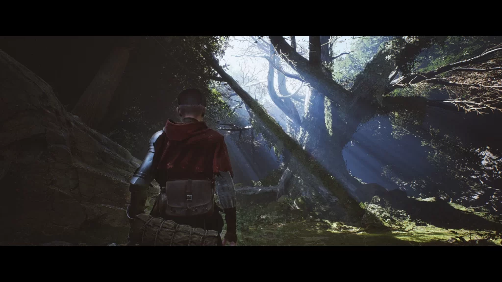 图片[2]-《1348 Ex Voto 1348：圣誓》Build.22299945 中文版-资源妙妙屋