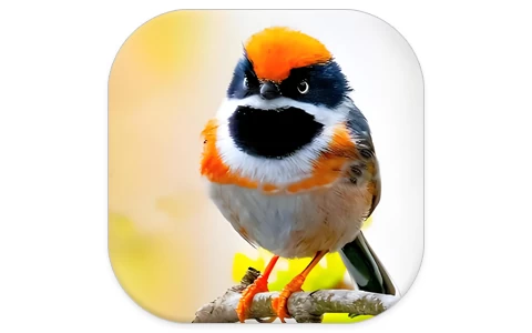 安卓|阔阔TV v1.3.3，影视频道非常丰富，电视家直播！-资源妙妙屋