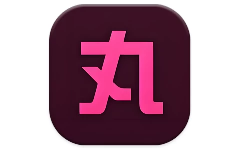 小丸工具箱 v236.0 强大的视频转换压缩处理软件-资源妙妙屋