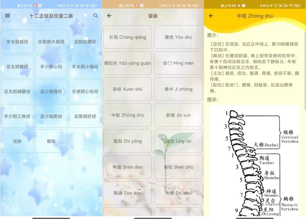 图片[1]-安卓|人体穴位图解 v3.2.0 可离线版-资源妙妙屋