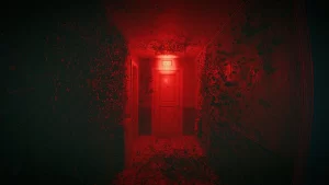 《摄像头惊魂2》Build.22941214 中文版-资源妙妙屋
