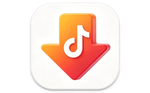 DY Video Downloader 抖音下载器 v0.0.9-资源妙妙屋