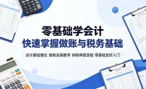 会计基础与实操全攻略 从概念到纳税申报系统教学-资源妙妙屋
