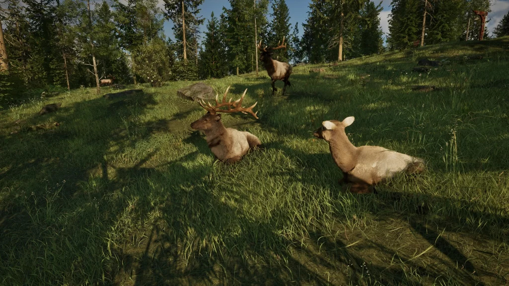 《Ranger’s Path：National Park Simulator 护林员之路：国家公园模拟器》Build.23930136 中文版-资源妙妙屋
