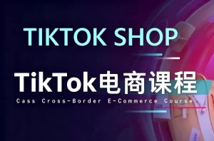 TikTok电商课程-资源妙妙屋