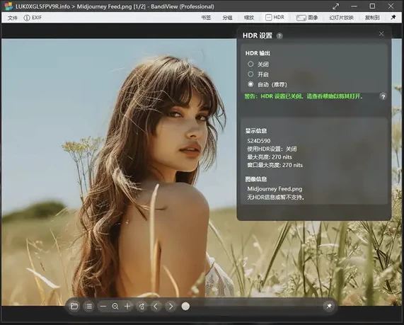 图片[1]-BandiView 图像查看器 v7.27.0 绿色版-资源妙妙屋