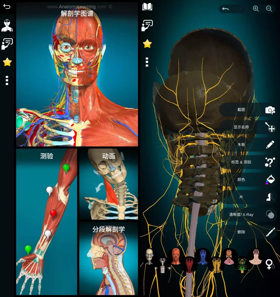 图片[1]-安卓|Anatomy Learning 3D解剖学图谱 v3.2.521 医学生必备学习专业软件 高级版-资源妙妙屋