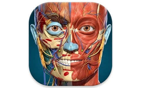 安卓|Anatomy Learning 3D解剖学图谱 v3.2.521 医学生必备学习专业软件 高级版-资源妙妙屋