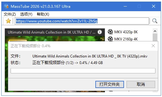 图片[1]-MassTube Ultra YouTube视频下载工具 v22.1.6.224 多语便携版-资源妙妙屋