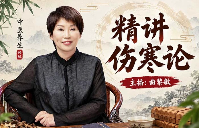 精讲伤寒论-资源妙妙屋